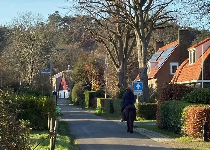 The Дом отдыха *