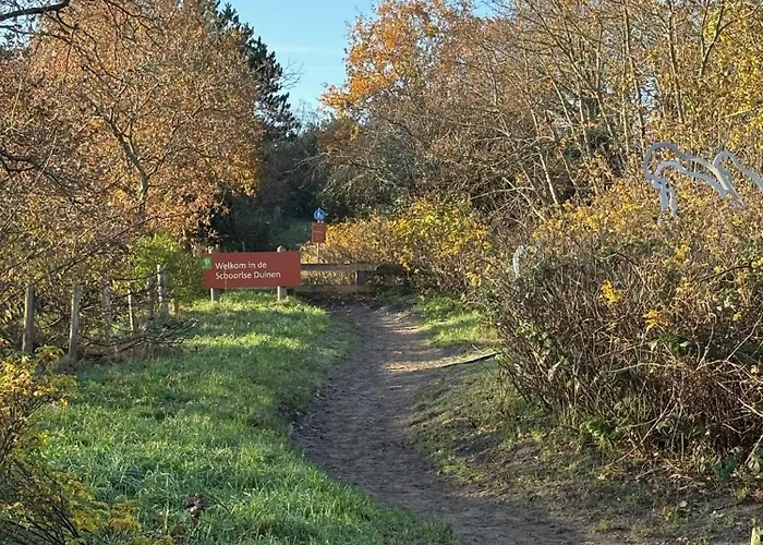 Дом отдыха The *